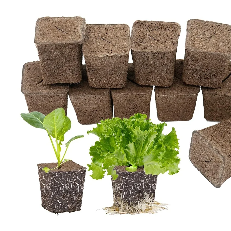 50 Hydroponic Seed Sponge For Seedlings, Clones, Cuttings, Promotes Rapid Rooting Of Plants, Flowers And Vegetables Durable