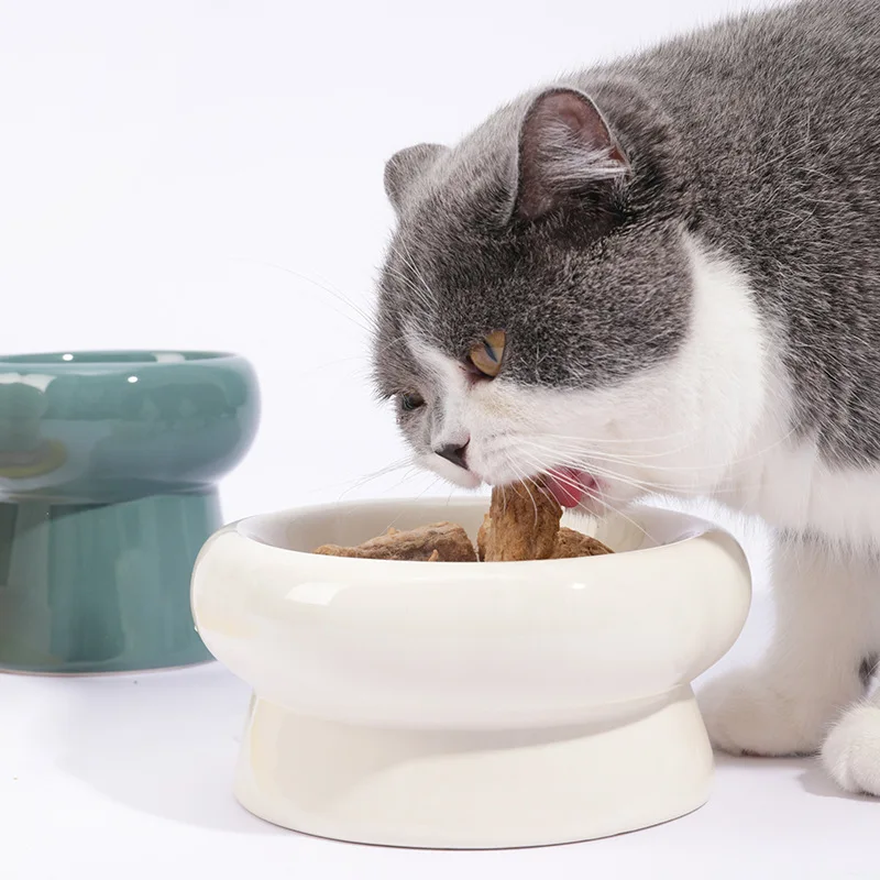 وعاء سيرك للحيوانات الأليفة مع حامل طعام للحيوانات الأليفة للكلاب وعاء شرب الماء مع وعاء مستلزمات الحيوانات الأليفة للعناية بالحيوانات الأليفة #4