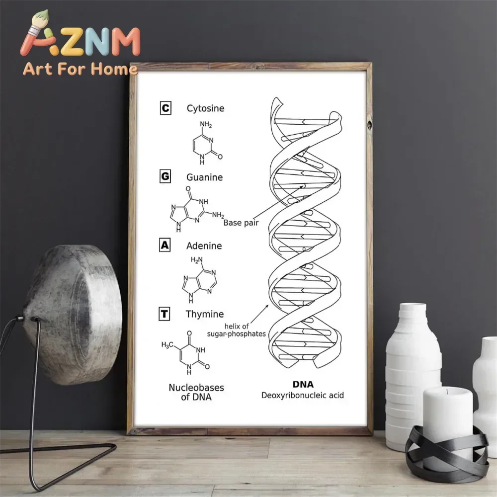 AZNM DNA Structure Canvas Painting Frameless Wall Art Nucleobase Biology Science Chart Print Classroom Study Room Educational De