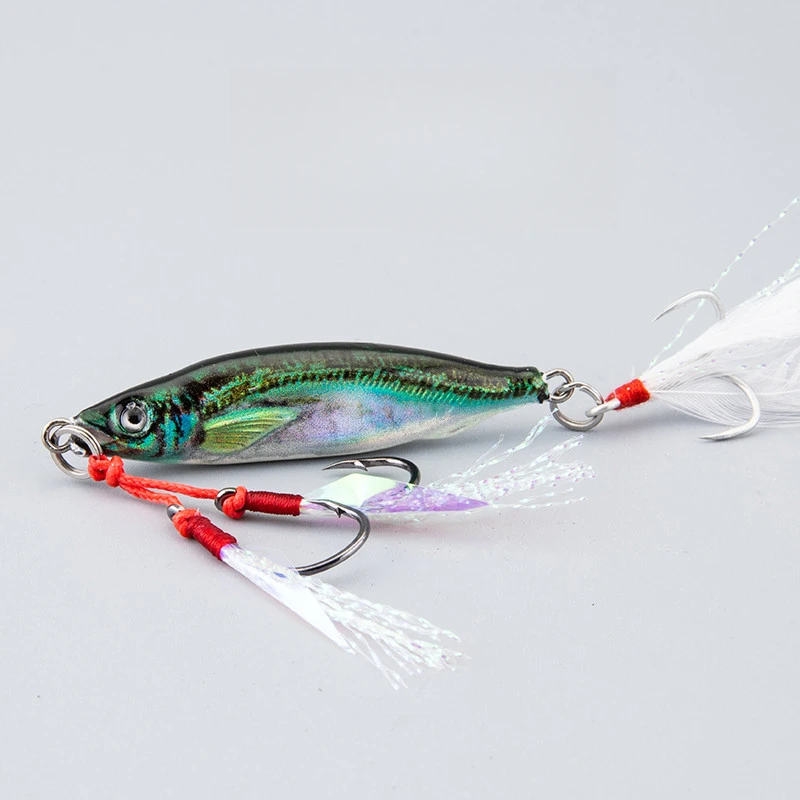 

3D Printing Bass Fish 10g-80g Bait Tackle TroutShore Drag Cast Sea Fishing Tuna Slow Jigging Lure Saltwater Hook