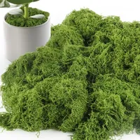 200g Fake Moss Artificial Green Moss for Potted Plants Fairy Garden Accessories Home Garden Lawn Floor Ornament Landscape Decor
