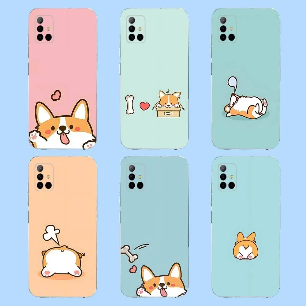 Cute Koki Corgi Dog…