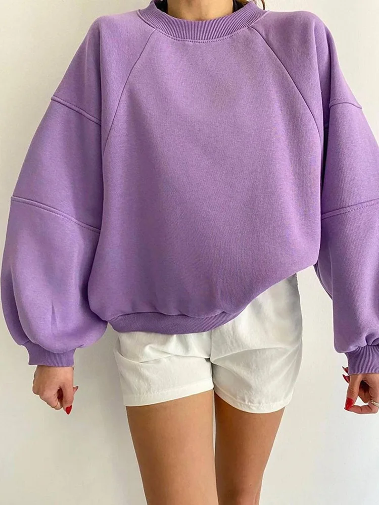 

Patchwork Round Neck Harajuku Hoodies Casual Women Loose Long Sleeve Solid Tops Female Autumn 2023 Sweatshirts Basic Pullovers