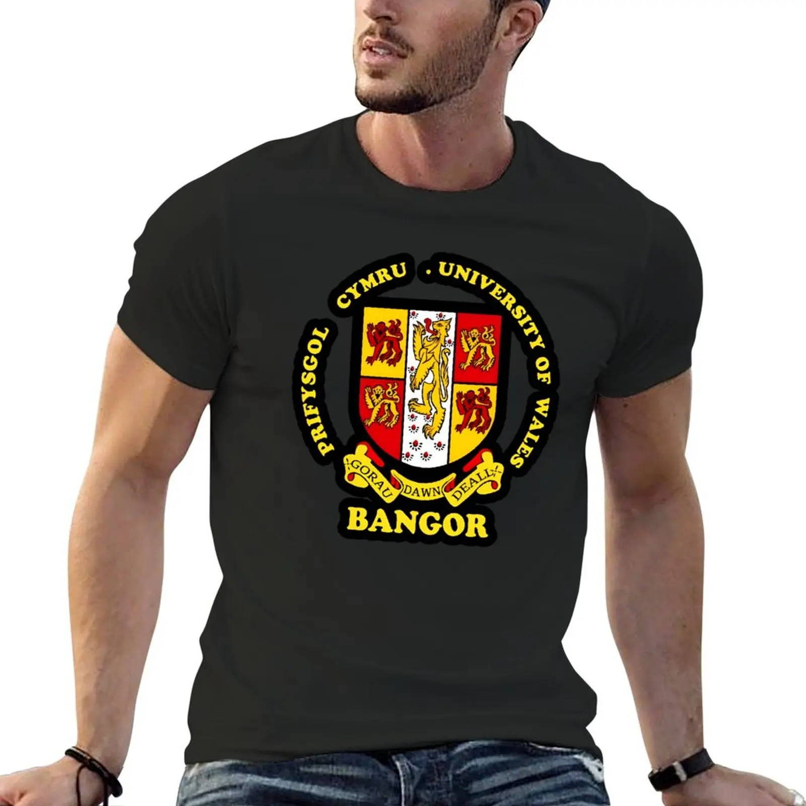 Bangor Prifysgol Cymru University Of Wales T-Shirt aesthetic clothes oversizeds tees heavyweights graphic tee shirt men