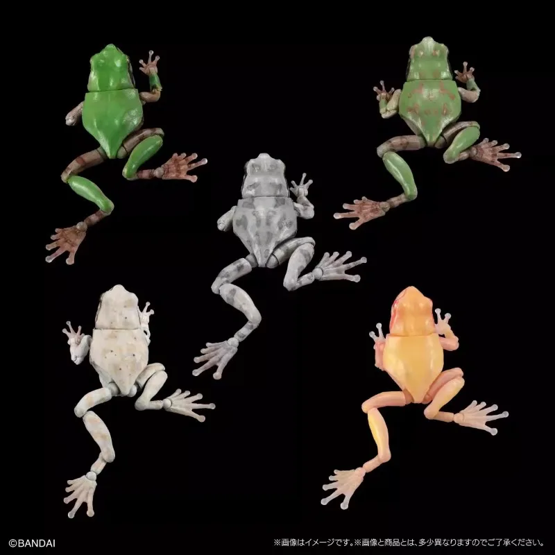 Original Bandai Gashapon Big Biological Map Tree Frog 02 Qversion Mini Anime Animal Figure Model Toys Gifts Collection Ornament