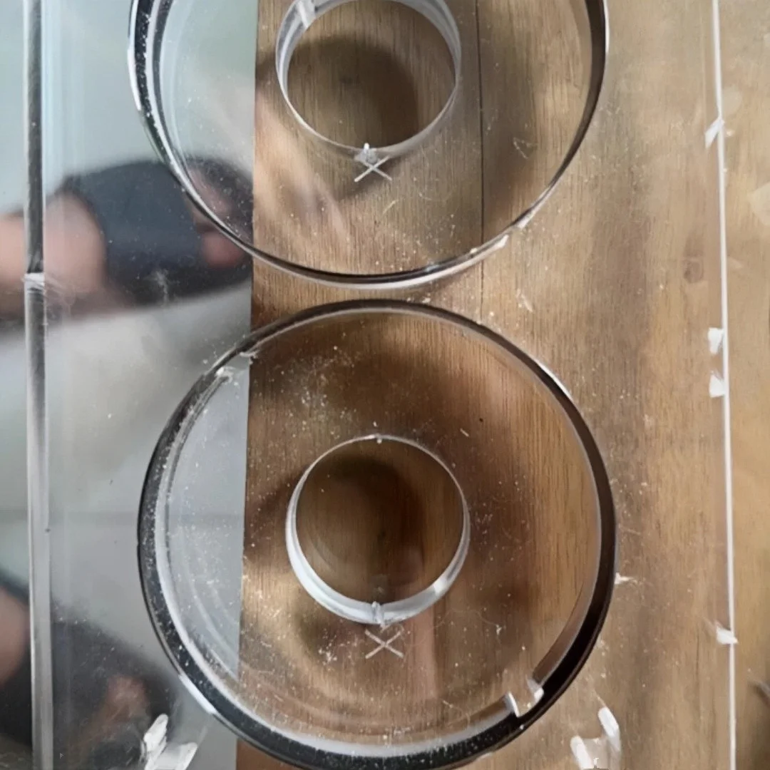 

halloween stamps and dies halloween stamps and dies for card making honey bee stamps and dies karen burniston cutting dies