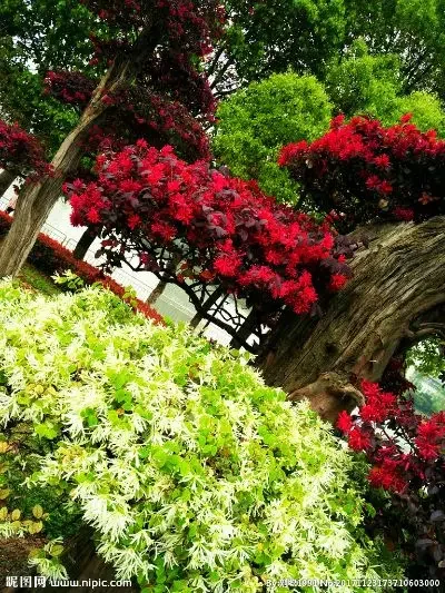 

Bitters Bottle 30ml/60ml Glass Bottle Cocktail Bitters Bottle Bar Tool