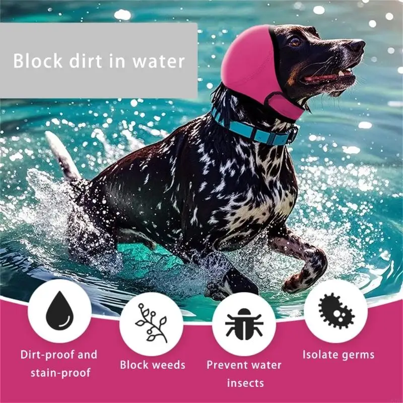 Peades para Perros: La Solución Definitiva para el Ruido y el Frío en las Orejas de tu Mascota
