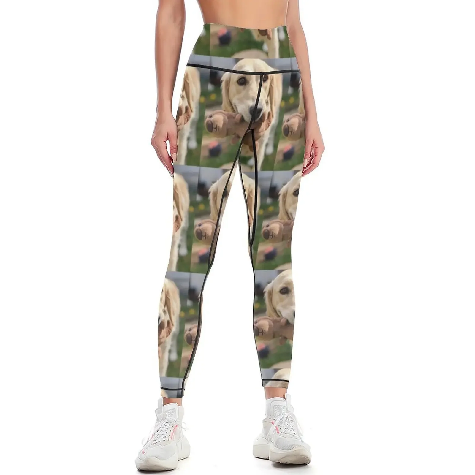 

Golden retriever Leggings Women's trousers Leginsy push up Tight fitting woman Women sports Womens Leggings