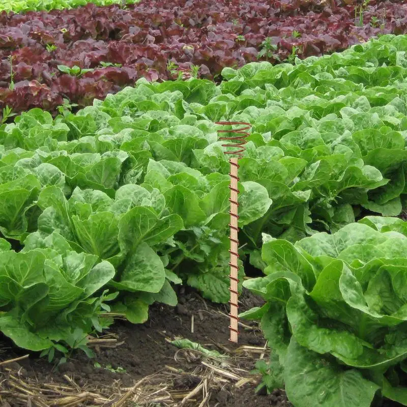 

Медная катушка, электронная посадочная стойка для сада, медная стойка, хорошая электропроводность, садовая антенна для горшечных садов