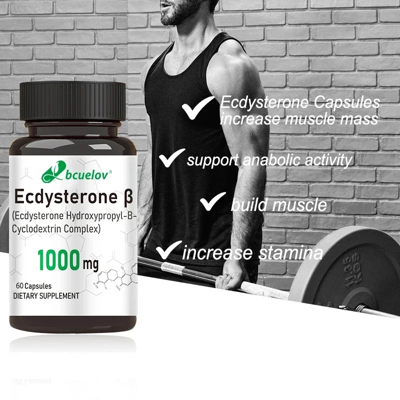 كبسولات Ecdysterone-دعم التمثيل الغذائي ، والمساعدة في بناء العضلات ، وحرق الدهون ، وتعزيز صحة الذكور