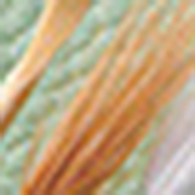 

23PCS Ear Wax Removal Forceps Flashlight Tool Kit Ear Pick Set Earwax Remover Spoon Ear Canal Cleaning Care Tools with LED Light