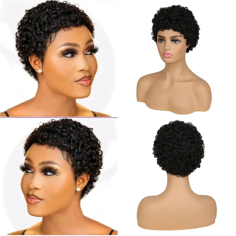 Short Afro Curly Synthetic Hair Wigs for Black Women Short Hairstyles Pixie Cut Wigs Black Brown Hair Wigs