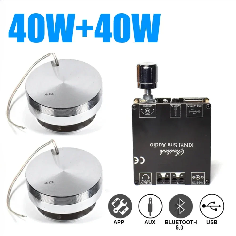 40W+40W 4ohm Portable Vibration Speaker Bluetooth 5.0 Amplifier Stereo Audio DIY HIFI System  Vibro Anti-neighbor Home Theater