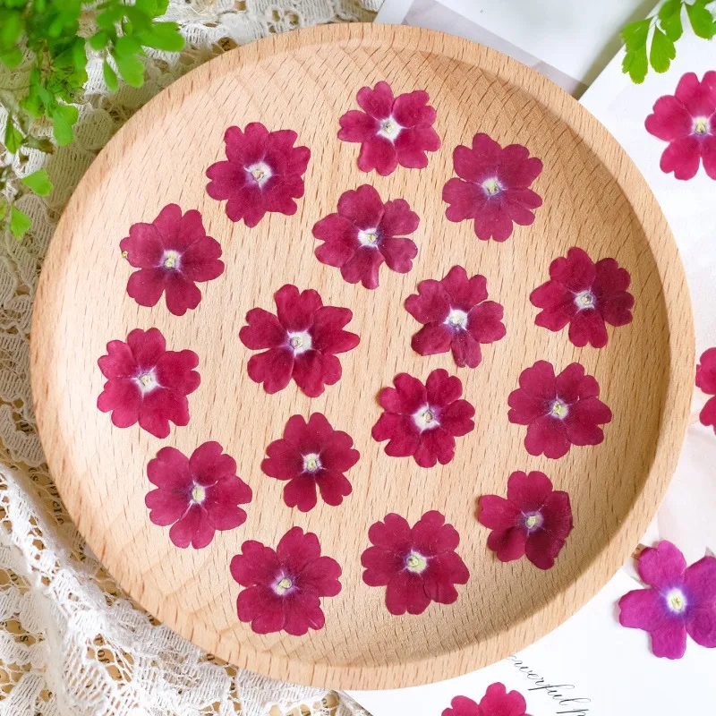 Thumbnail 3 - #9 Top Dried Flowers Picks for Every Budget