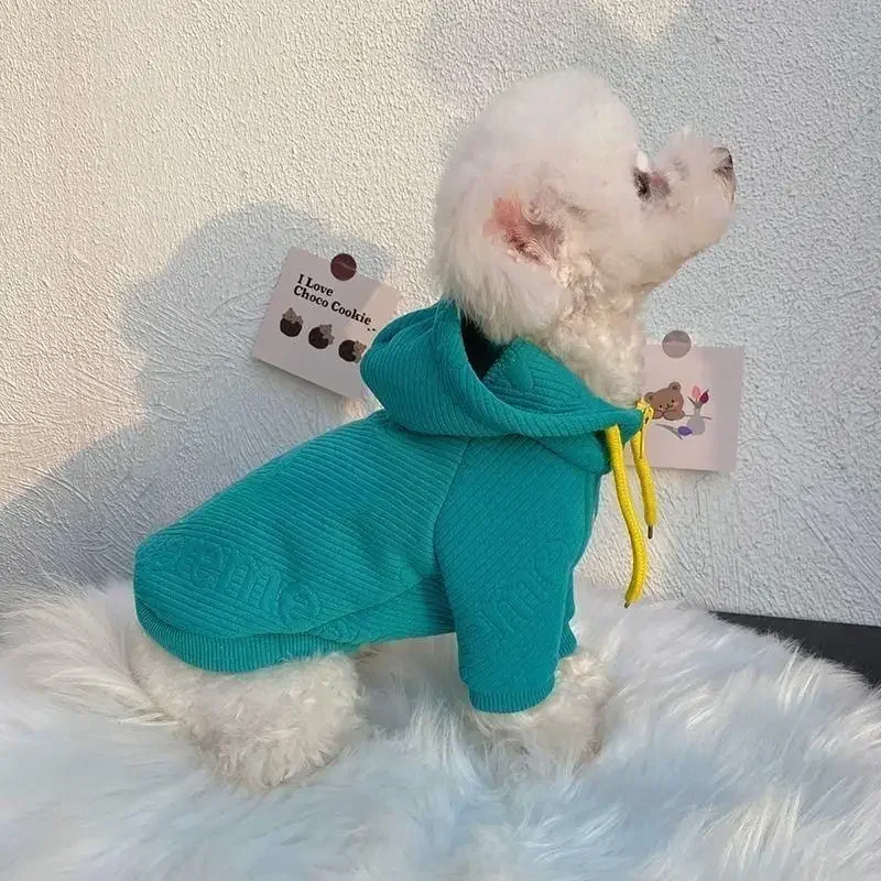 Pet Dog Cat Clothes for Small Medium Large Dogs Spring Autumn Designer Dog Hoodie Schnauzer Puppy Costume Two-Legged Pets Jacket