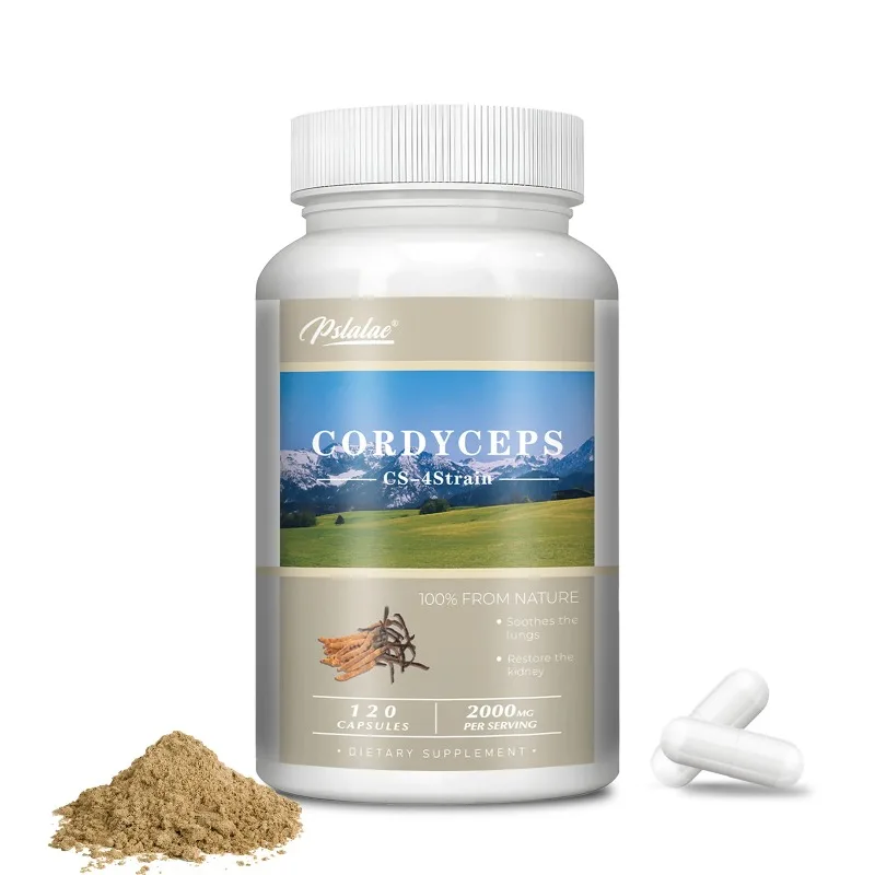 

Cordyceps Capsules - Replenish Energy, Supports Heart, Kidney Health, Enhance Memory and Concentration