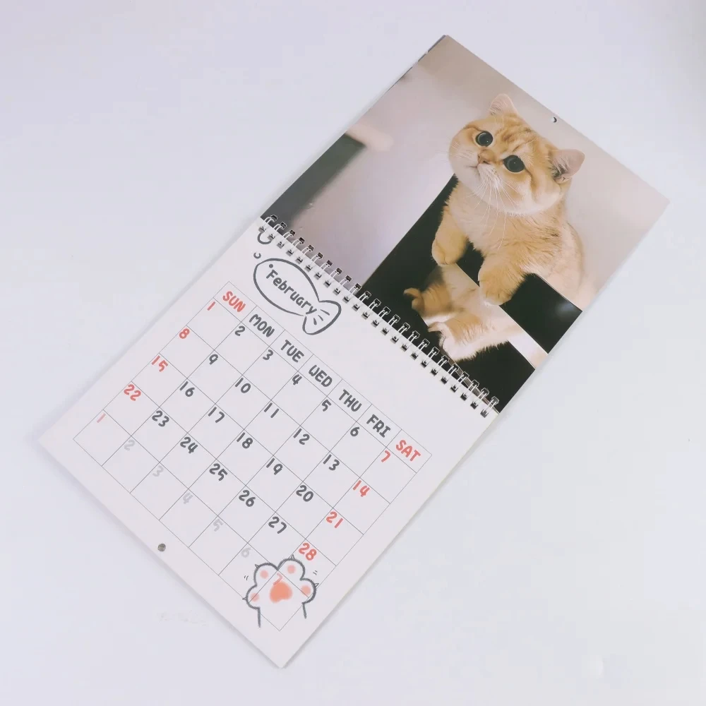 Calendario da parete con gatto divertente Calendario da parete 2026 12 Immagini di pianificazione mensile Gag Regali per gli amanti dei gatti Famiglia Amici