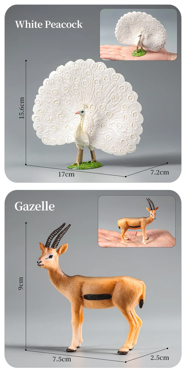 Montessori Wildtiere Modell Spielzeug Set – Löwe Elefant Antilope Actionfiguren Miniatur Zoo Figuren Pädagogisches Geschenk für Kinder – Detail 9