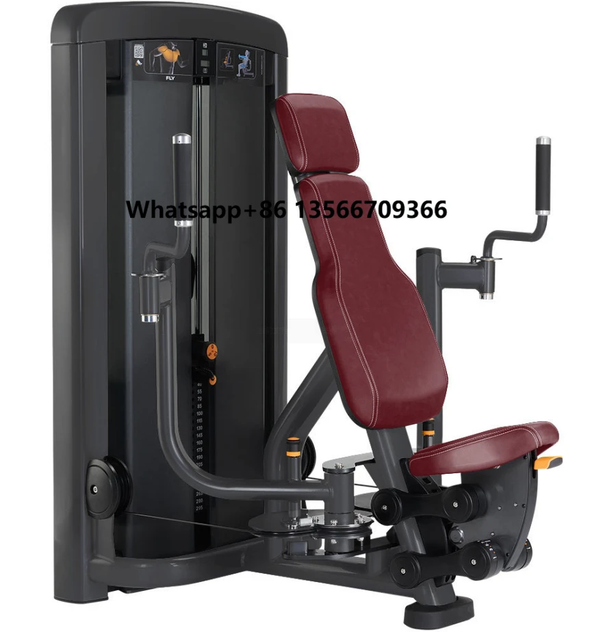 

High Quality Wear-Resistant Gym Equipment for Chest Exercise Customizable and Wholesome Beautiful Design