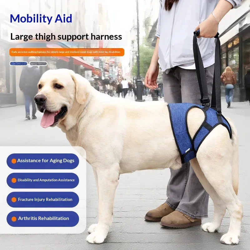 

Escape-Proof Dog Support Sling - Waist Wrap Design for Secure Lifting, Post-Surgery & Rehabilitation Aid (CE Certified)