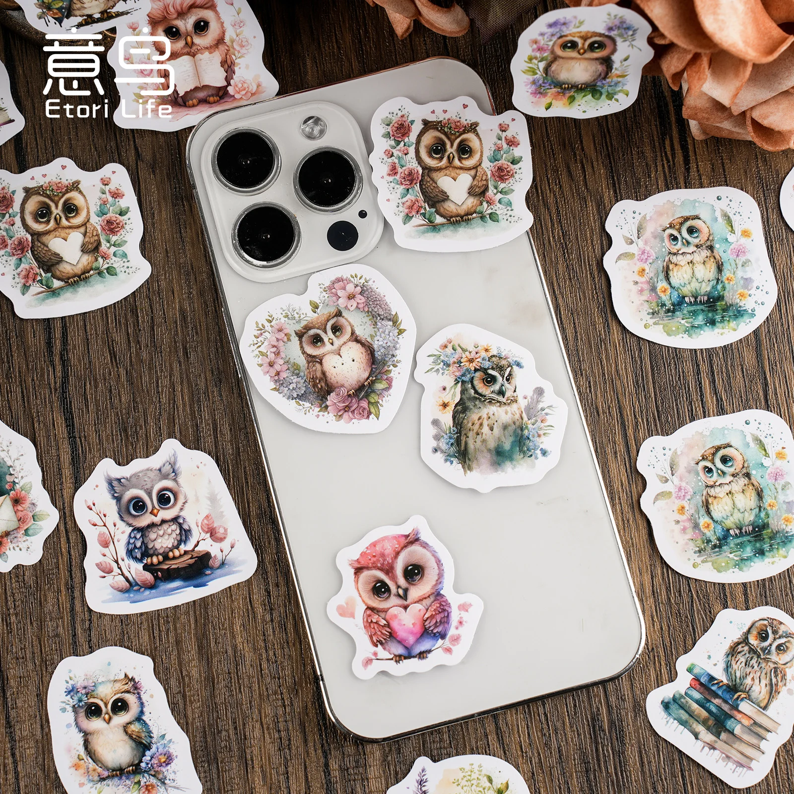 46Pcs Magic Owl Retro style box Decal decorative water cup notebook skateboard DIY decal classic toy