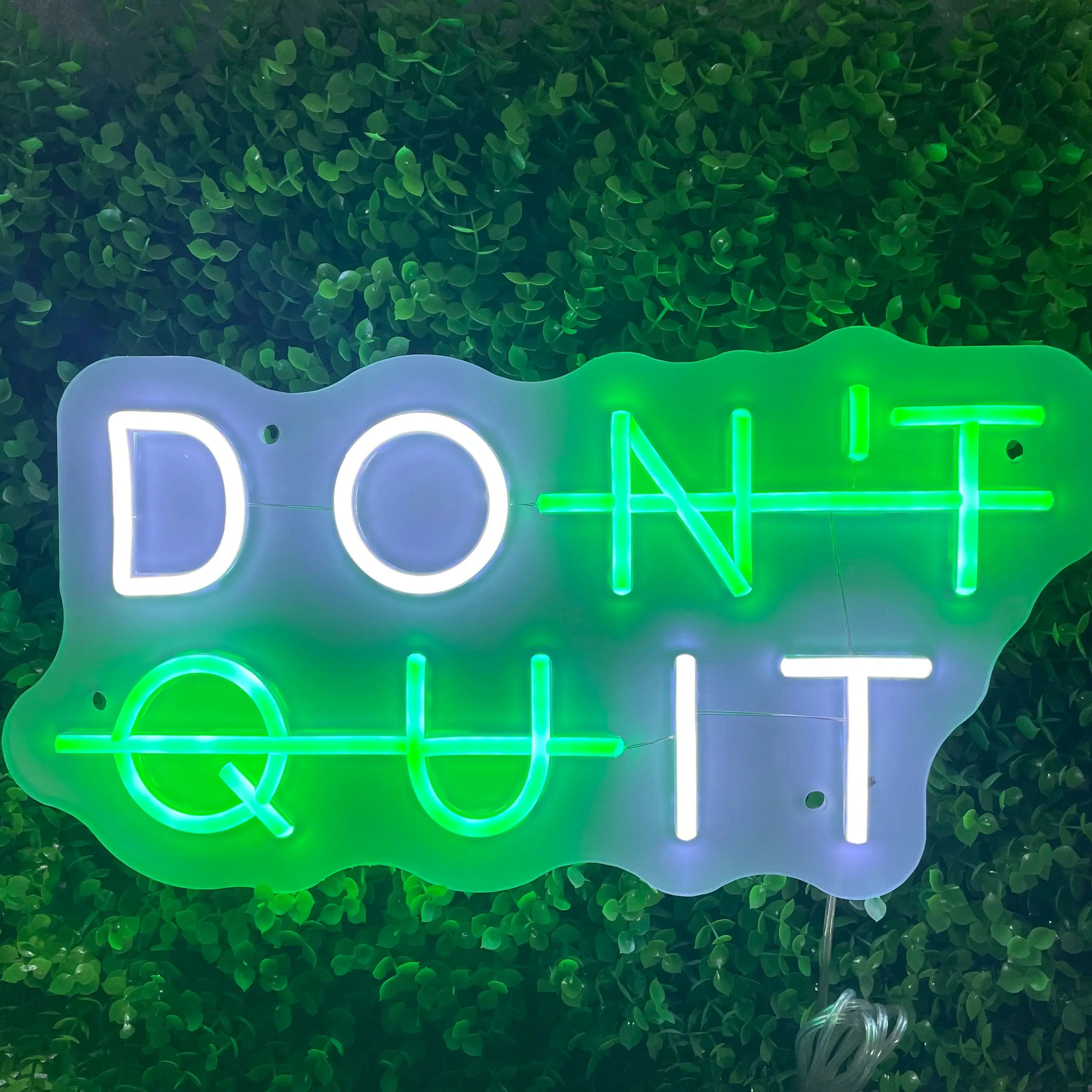 Toysign Custom Text Neon Sign, DON’T QUIT Neon Wall Light - Motivational LED Sign for Home or Office Decor, Unique Birthday Gift