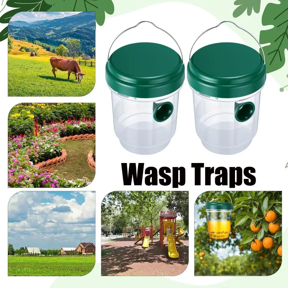 

Hot Reusable Wasp Traps Transparent Convenient Hang Hanging Bee Traps Fly Bee Killer for Indoor Outdoor