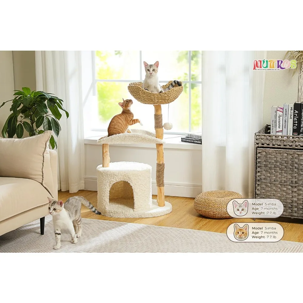 대형 고양이를 위한 고급 원목 캣타워 - 천연 나뭇가지 스크래칭 포스트와 견고한 목재 콘도로 고양이의 편안함을 제공합니다