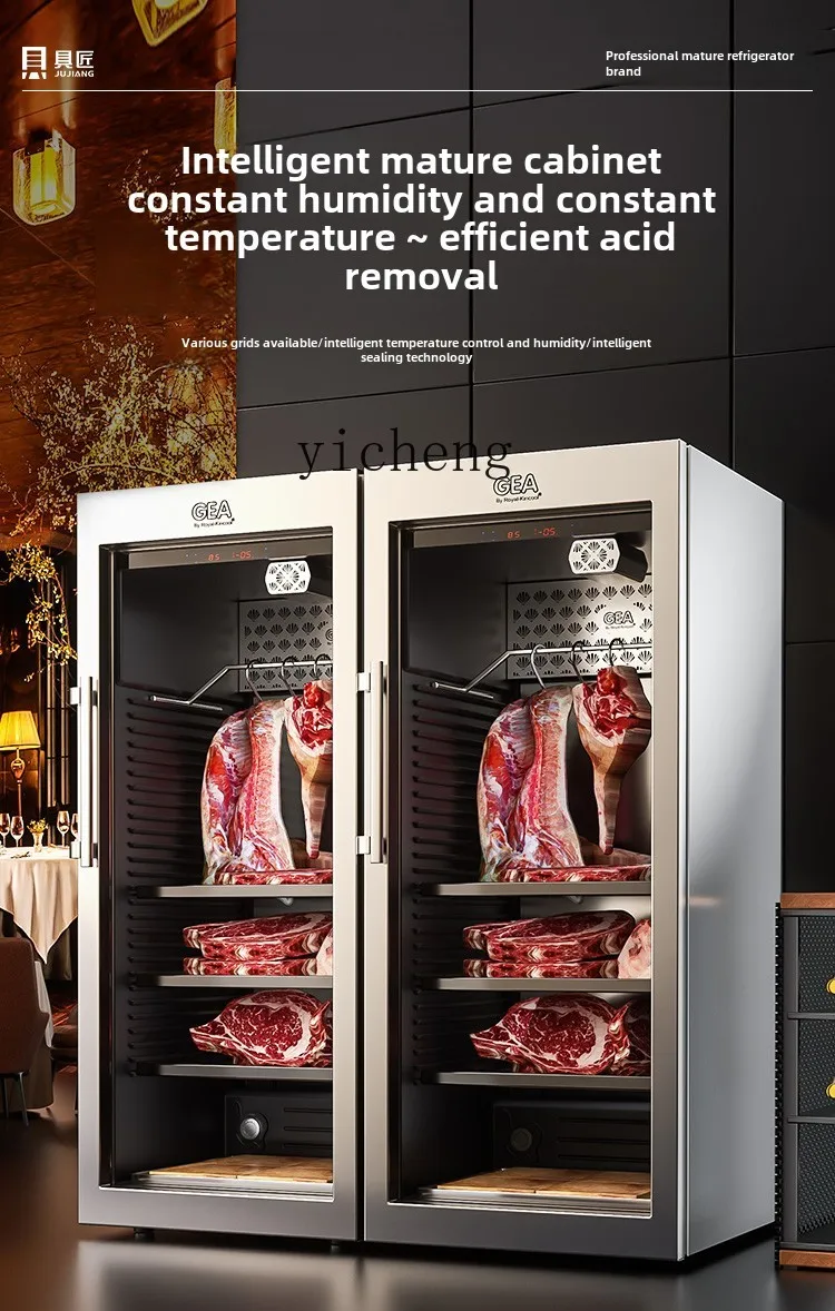 ZZ-Vitrine Acide Température Constante, Armoire Commerciale, Réfrigérateur de Bœuf Occidental