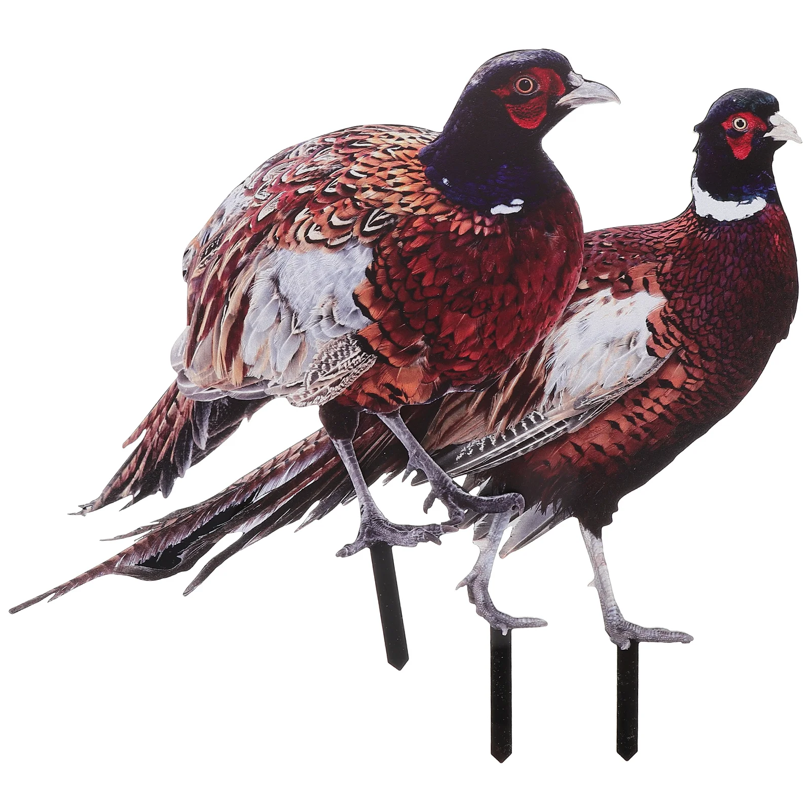 2 Pcs Pheasant Garden Decoration Outdoor Adornment Yard Sign Lawn Ornament Acrylic Stake