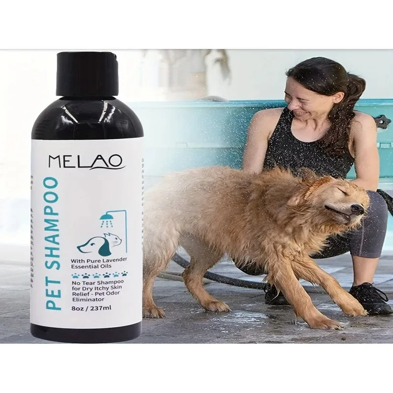 dry dog shampoo