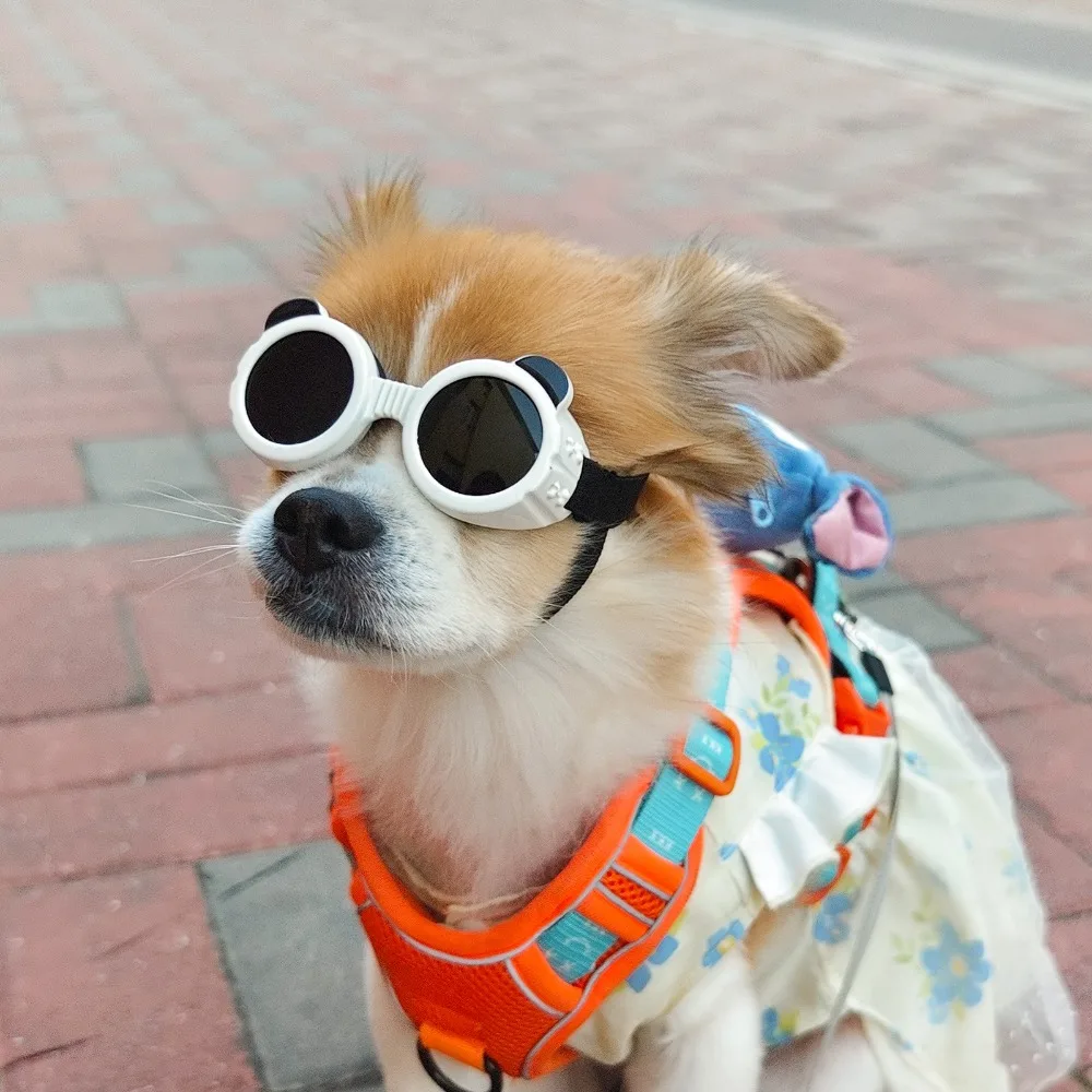 

Pet Sunglasses Dog Goggles Waterproof Snow Windproof Small Dog Sunglasses Eyewears for Outdoor Travel Driving Riding Dog Goggles