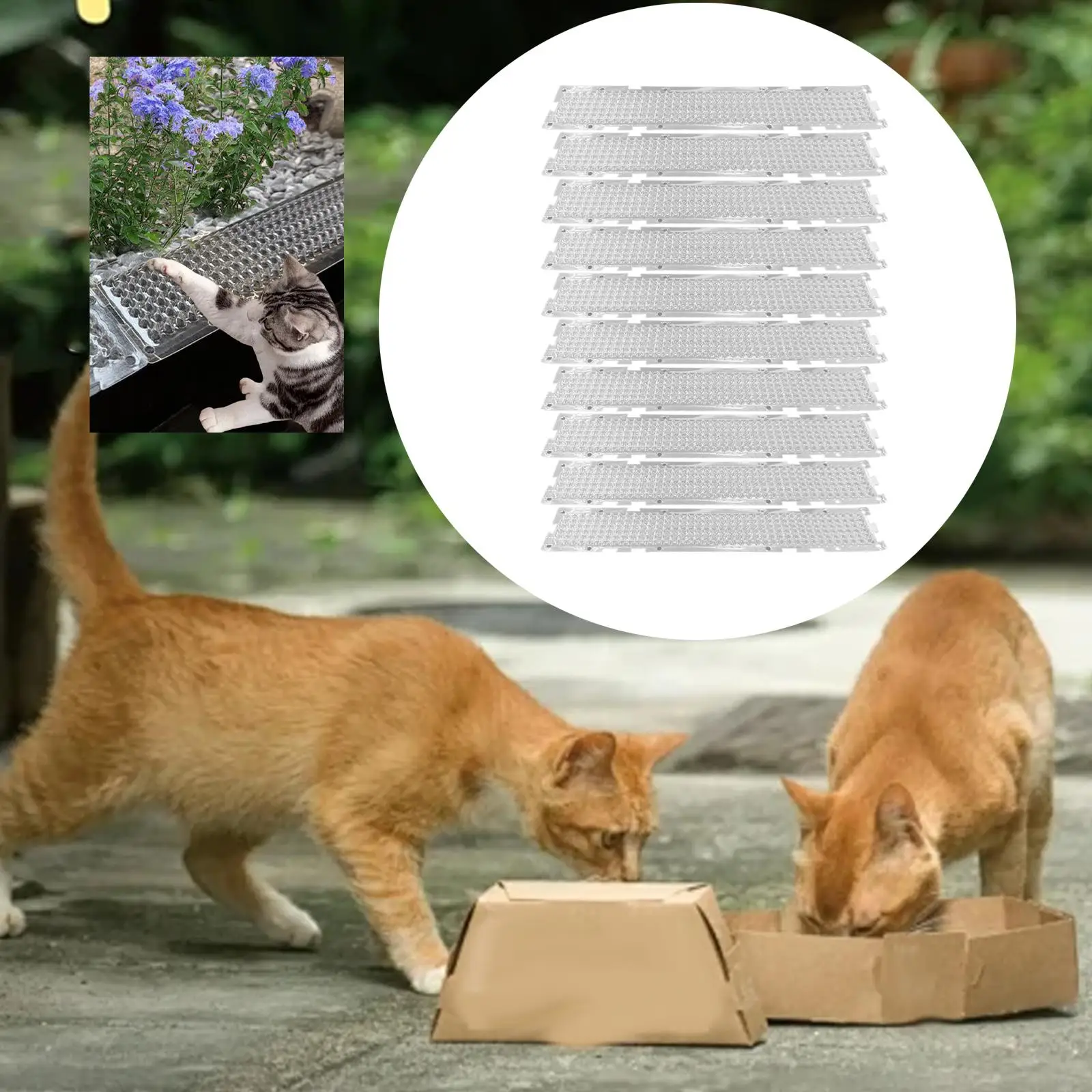 

10 ковриков для отпугивания кошек Коврики для отпугивания кошек Прозрачные легкие полоски с укропом