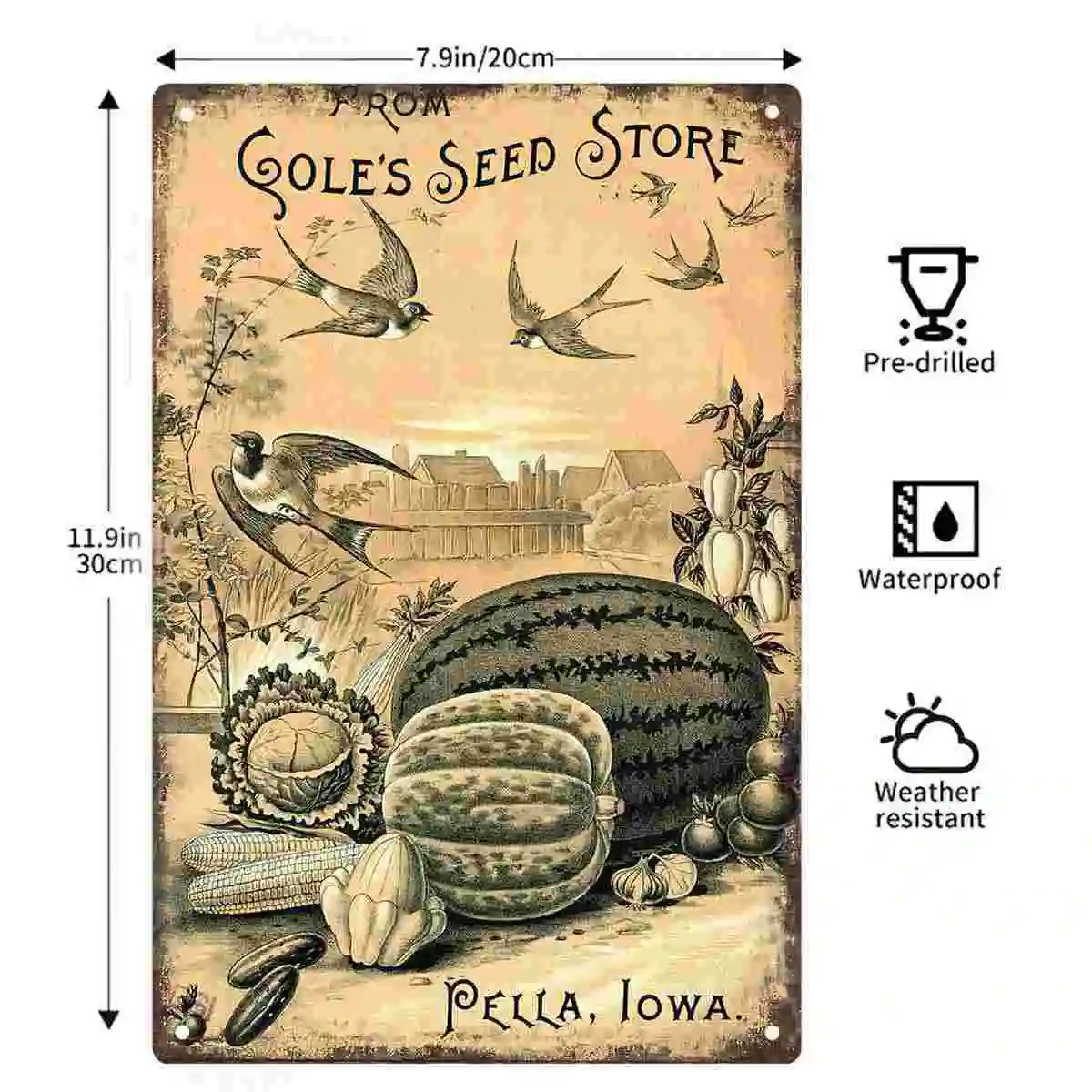 2D FLAT 1pc Vintage Cole's Seed Store Pella Iowa Birds and Vegetables Metal Wall Sign Decoration for Home Cafe Garage Bedroom