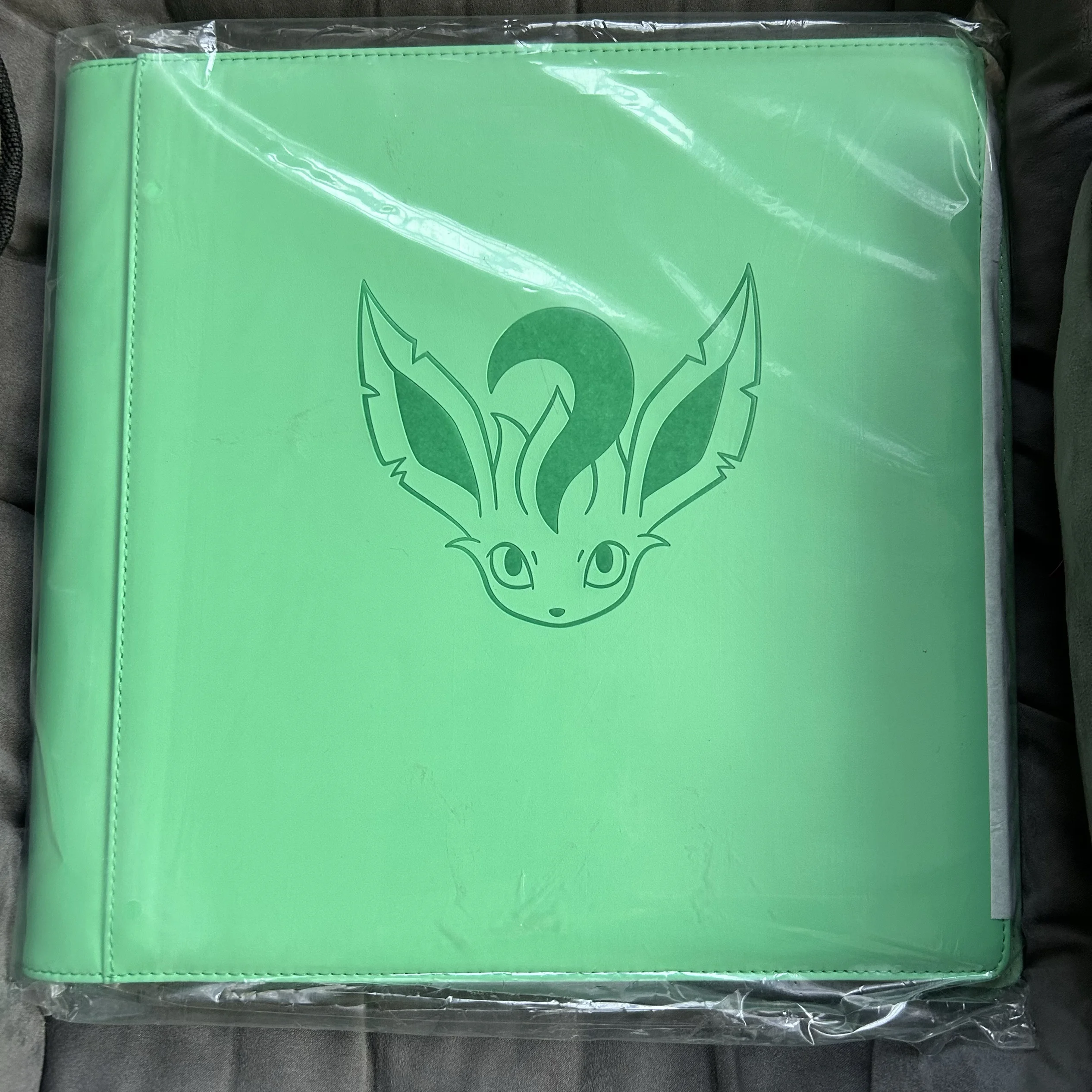 In Stock PokéMon Game PTCG Card Chinese Ibrahimovic Advanced Eeveelution Protection Register Card Book Collection Gifts Toys image 3