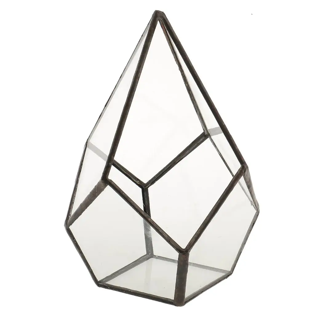 

Geometric Shape Glass Flower Pot Terrarium Box Moss Succulent Plant Display Case Holder