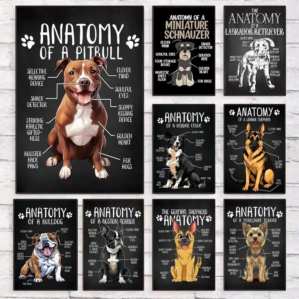 

Anatomy of Animal DOG Poster Wall Art Sticky for Living Room Bedroom Office Hallway Bar Home Decor Gift Idea