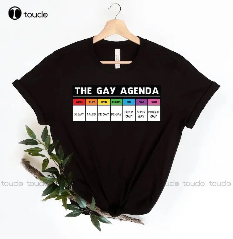 The Gay Agenda Shirt, Gay Shirt, Lgbt Shirt, Bisexual Shirt, Lesbian Shirt, Vintage Shirt, Lgbt Gift, Pride Rainbow Custom Gift