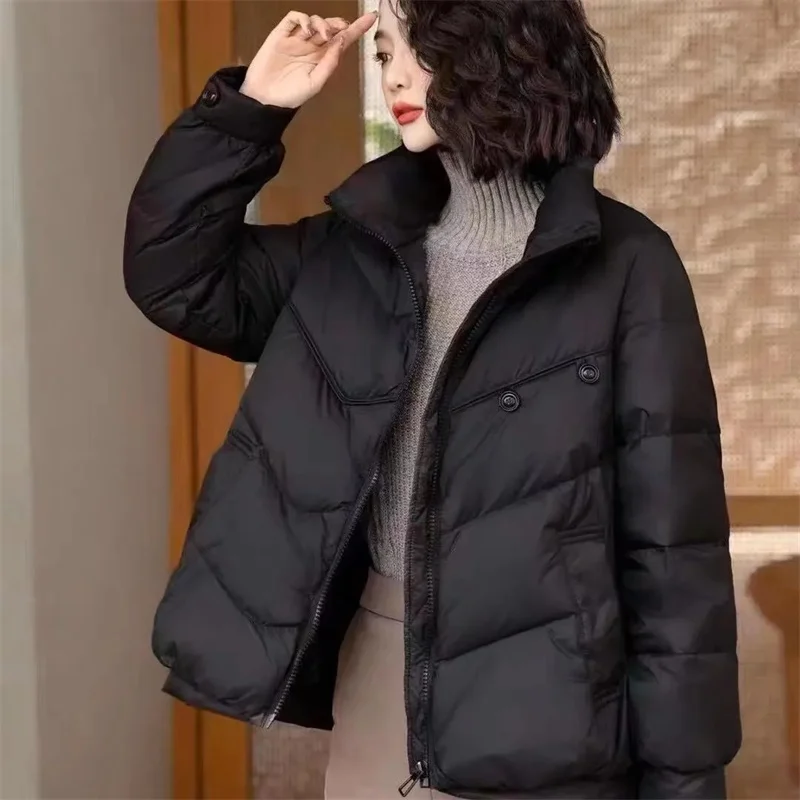 Manteau matelassé en coton à deux boutons pour femmes, parkas à col montant pour femmes, vêtements d'extérieur coréens pour femmes, veste à manches longues, haut bouffant, hiver, 2024