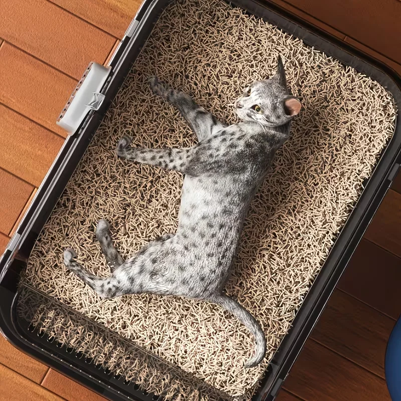 Thumbnail 3 - #35 Top 40 Cat Bed Pans Worth Buying In 2026