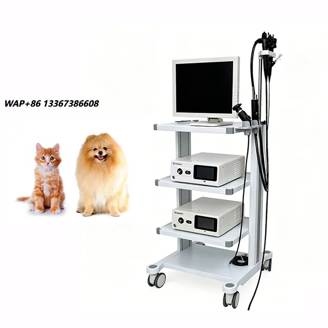 European Pet Hospital Medical Video Veterinary Endoscopy Colonoscopy System Veterinary Portable Endoscope