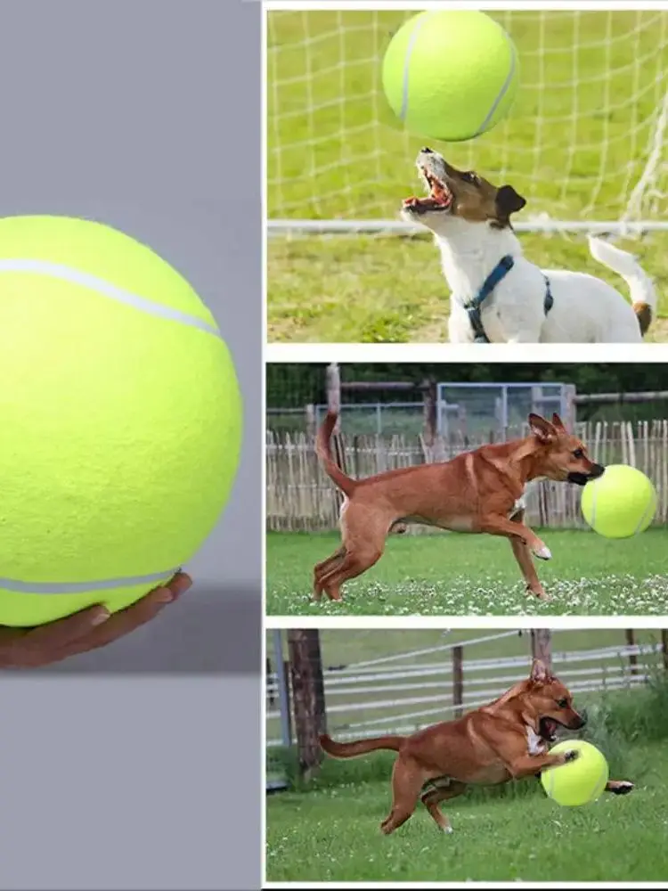 Grande balle de tennis signée 24 cm balle de tennis gonflable cadeau d'activité