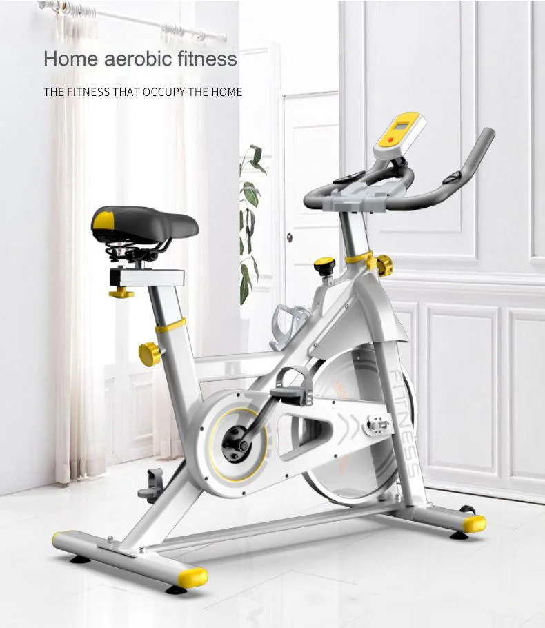 Ultra-Quiet Home Exercise Bike Indoor Bicycle Sports Equipment Fat-Burning Fitness Spinning Bike