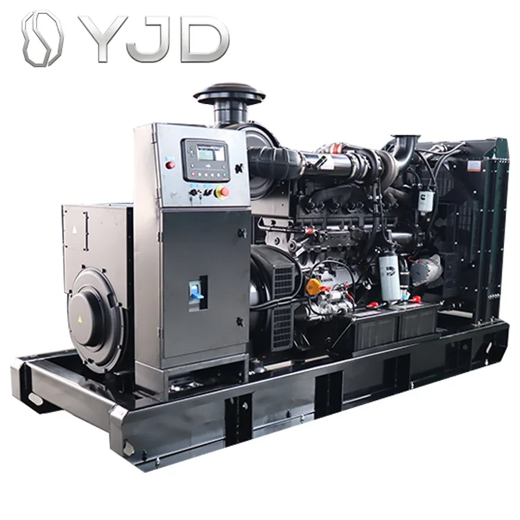 

200KW Open Frame Diesel Generator 250KVA Industrial Backup Power Factory Direct Customizable