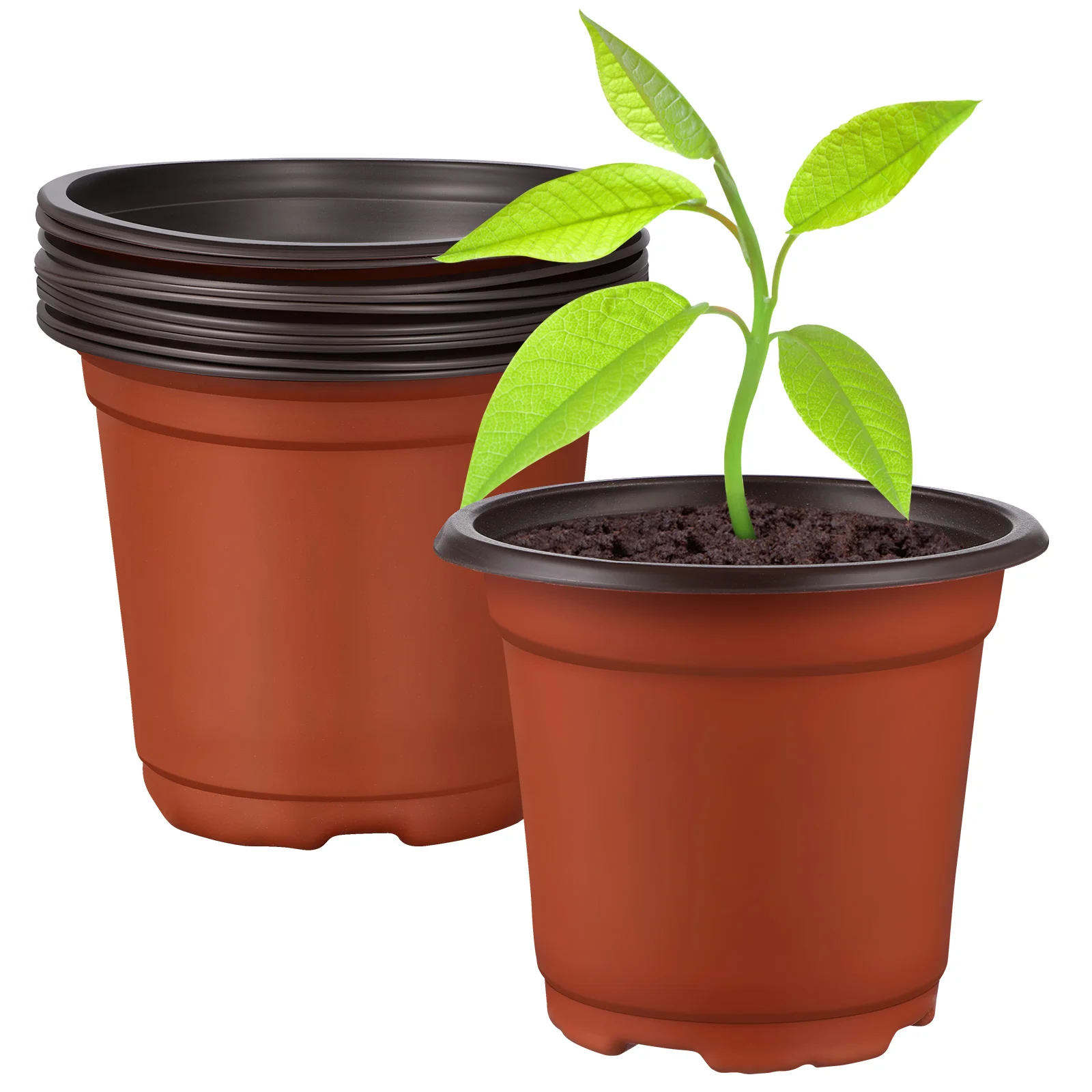 

10 Pcs Seedling Pot Seedlings Plastic Flower Pots Indoor Plant Terracotta for Plants