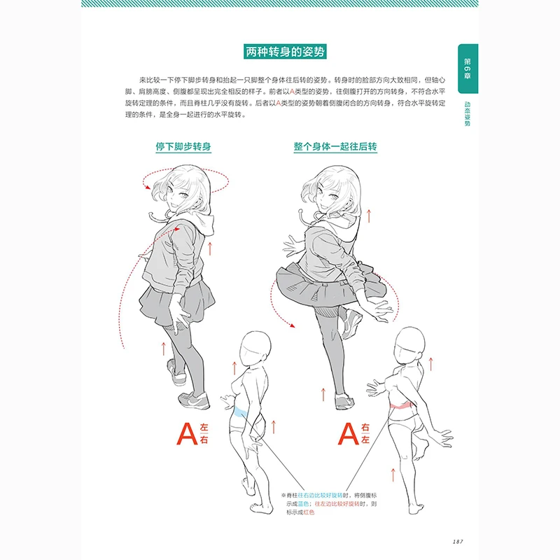 Character Pose Drawing Theorem Human Body Dynamic Drawing Structure Tutorial Reference Character Material POSE Sketch