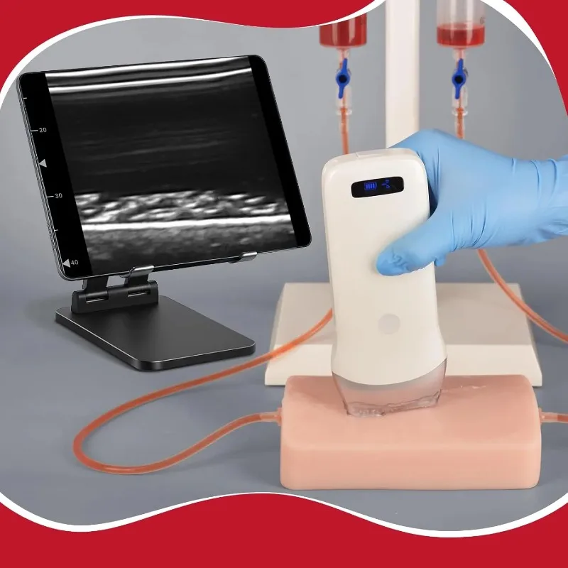 Ultrasound Guided Vascular Puncture Model,Ultrasound Simulation Blood Circulation,PunctureInjectionTrainingPadforMedicalTeaching