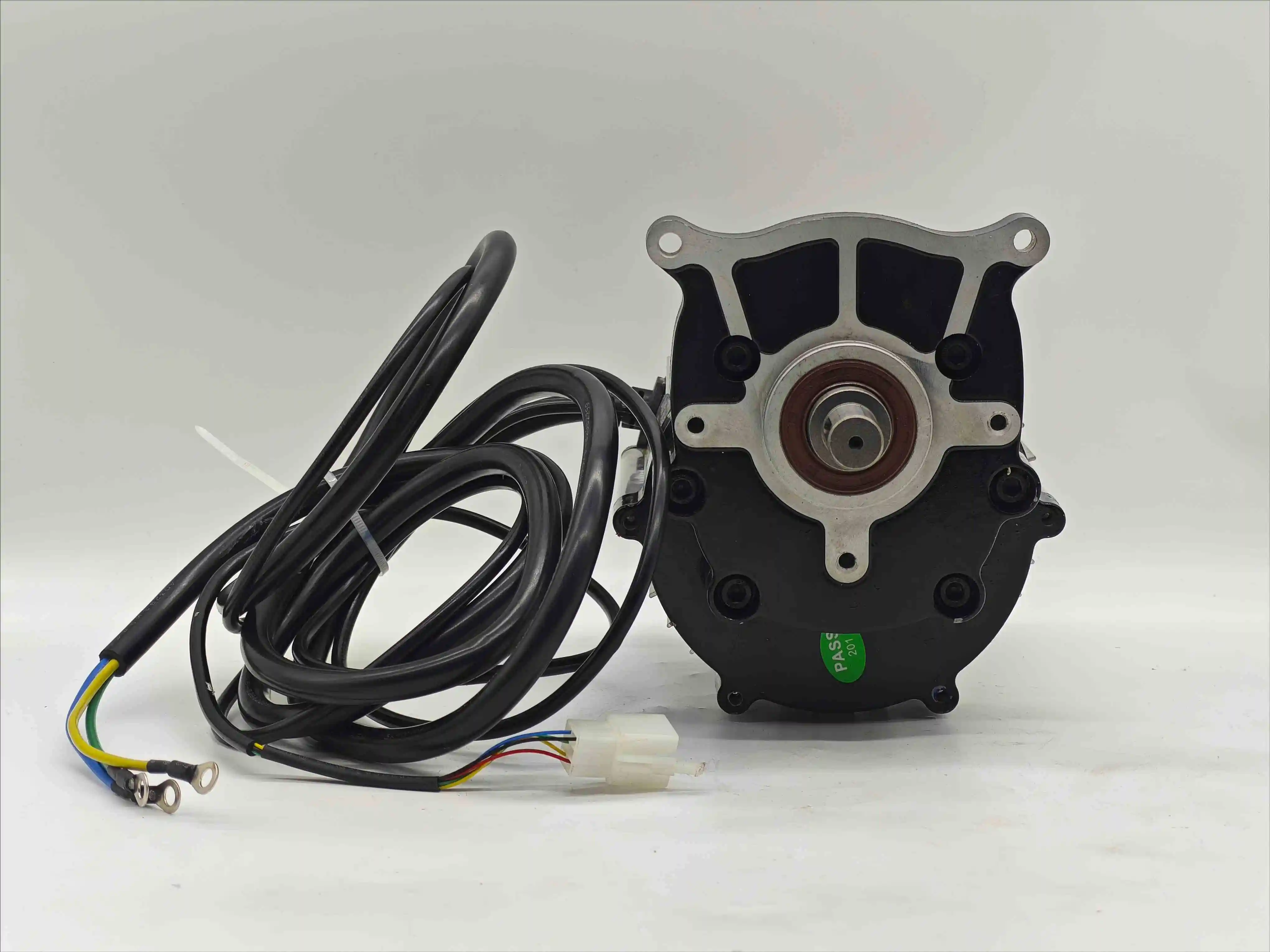 High-Efficiency 48V 1500W Brushless DC Gear Motor for Electric Rickshaw Manufactured