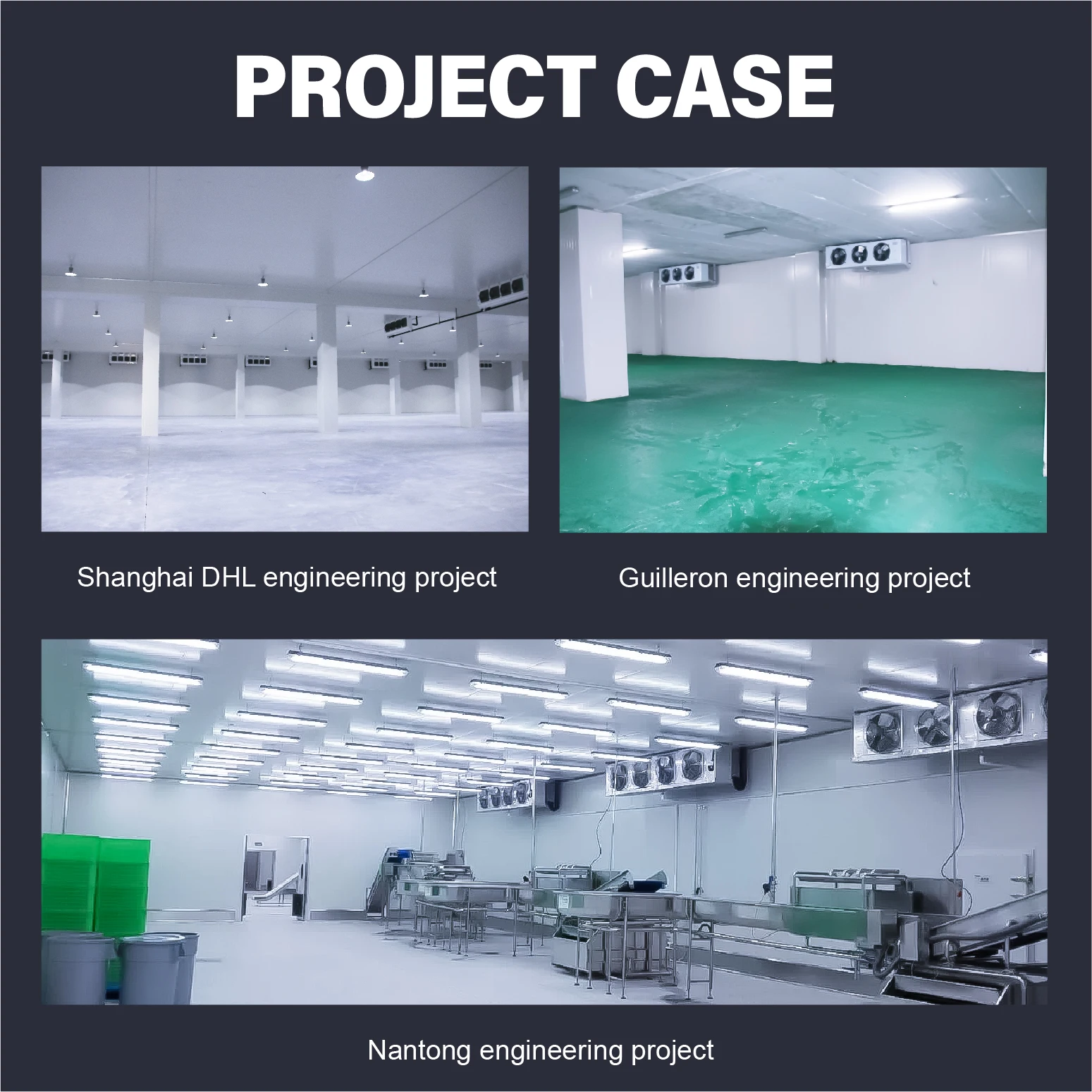 10 piedi 20 piedi 30 piedi Camminata nella stanza fredda Sala frigorifera refrigerata